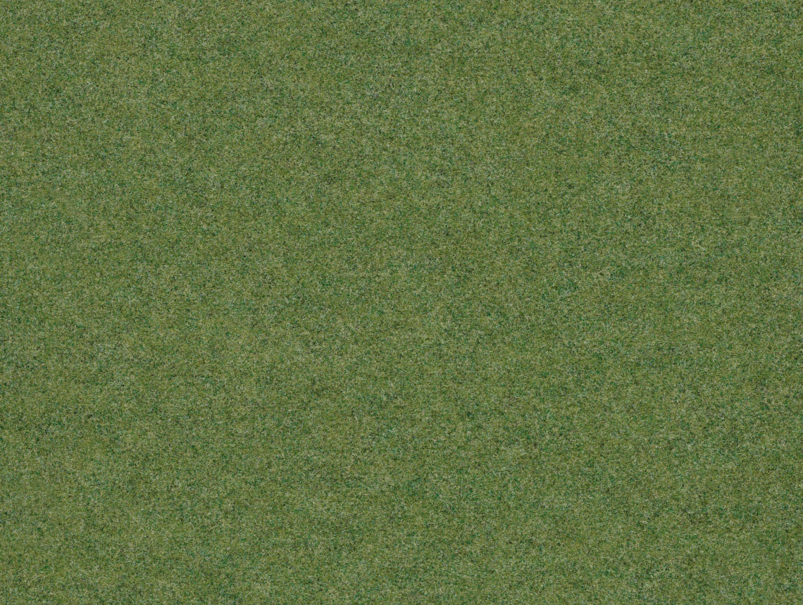 Forte Color у рулоні - 96008 field
